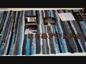 【一回戦】学生8人がアナログゲームやってみた1周目【猫チョコ】