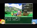 ゆっくりしない饅頭共のドラゴンクエスト4【part9】
