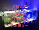 ど素人がアクアリウムに心奪われPart07～トリミングからの水替え～