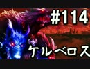 【無課金】インペリアルサガ実況part114【byとぐろ】