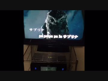 入家レオ ／ サブリナ