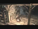 【ブラッドボーン実況】　全ての敵を一人で狩る　第十七話