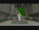 知識豊富な初心者マインクラフト　part9