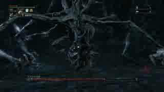 【Bloodborne】呪われた聖杯アメンドーズ攻略解説？【ゆっくり実況】