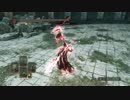 【ダークソウル２】趣味の死合２９