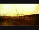 ★ココロアンサー：歌ってみた【hanoleno】