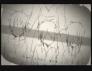 【じん様】アヤノの幸福理論をうたってみた【ピアン】