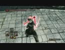 【ダークソウル２】趣味の死合３０（前編）