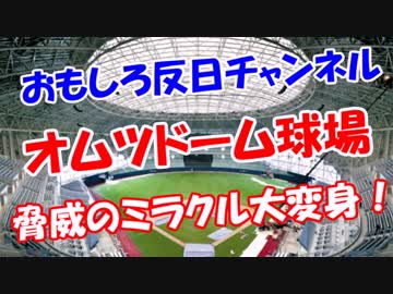 【オムツドーム球場】 脅威のミラクル大変身！