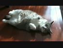 【モアクリ】 うざ主