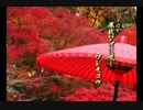 【NNI】【オリジナル】waremokoh【和風】