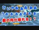 【2人で実況】 ☆ポケパーク2 BW☆ 【Part9】