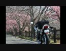 春を探しに～伊豆ツーリング～