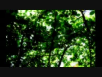 『対象（15禁）』実況 Part16