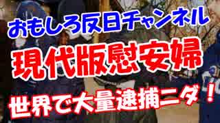 【現代版慰安婦】 世界で大量逮捕ニダ！