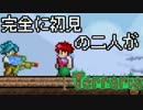 [実況]　完全に初見の二人がテラリア　part50