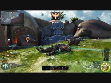 【CoD:BO3】初級者の考えたセーフガード立ち回り紹介