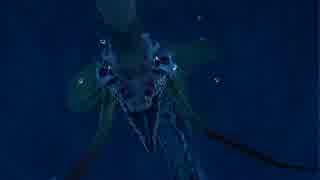 泣くのかもしれないだろ?だからFF10を実況しておきたいんだpart39