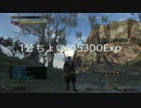 【DDON】賞金首がないときの経験値稼ぎ