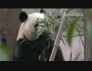 20160302 北川（ベイチュアン）かみかみ時々ぼんやり。