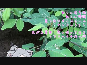 【東北ずん子カバー】ROUTE４５　～Remember　Ver.～