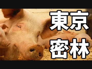 東京で弱肉強食トーキョージャングル実況プレイ【11】