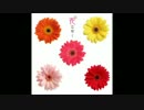 花は咲くプロジェクト【歌ってみた】
