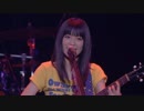 【LIVE】441 / miwa