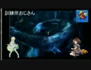 砂利ガニのゲーム日誌　16.2.6『FF10蝶々イベント』