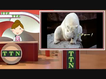 【最近ニダさんたちがつまんない！編】 タンタンニュース