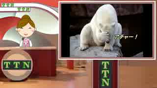 【最近ニダさんたちがつまんない！編】 タンタンニュース