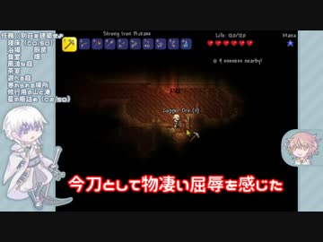 【刀剣乱舞】驚きと幸運のTerra/ria遠征2-3【偽実況】