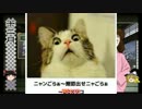 DQNの屍を越えてゆけ その死地