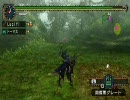 【ＭＨＰ２Ｇ】廃人とヌコの旅ｖｅｒ2～Ｇ級：ヒプノック二頭～１／２
