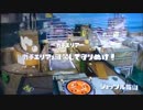 【アドバイスを実践】新米イカ奮闘vol.4-2/2【先輩イカのアドバイス求む】