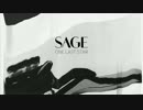 SAGE - One Last Star (official audio)