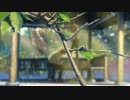 【歌ってみた】Rain【雨宿軒】