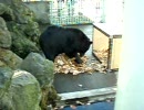 前橋るなぱあく　ムーンの落ち葉かき　2006．12．16