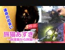 あずきと運命の出会い