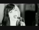 Civet - You Get What You Pay For