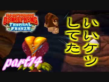 【実況】命がいくつあっても足りないドンキーコングTF part14
