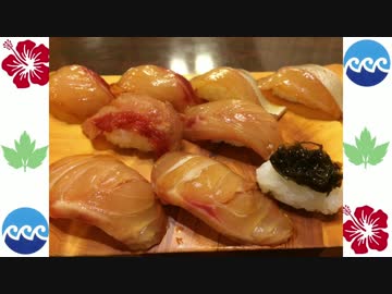 二泊二日 八丈島一周 食べ歩きの旅（2日目[後編]）[Fin]