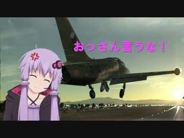 【DCS World】FaceRigを使って飛んでみた。