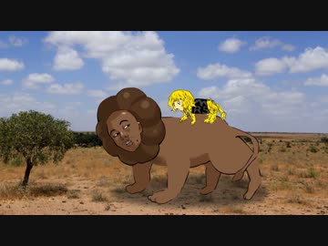 子育てするココアライオン