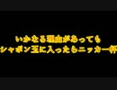 人間の本性丸出しでNewスーパーマリオブラザーズＵ　part31【ゲーム実況】