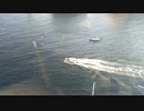 カタリナ島