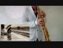 366日/HY【ソプラノサックスで演奏してみた】