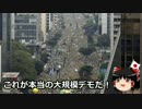 【ゆっくり保守】本当の大規模デモの映像を見てみよう