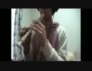 【リコーダー】アウターサイエンス【吹いてみた】