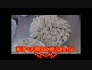 ☆餃子100個作ってみた！！